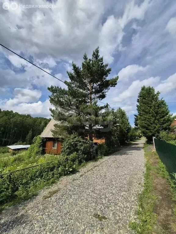 Дом в Кемеровский муниципальный округ, СНТ Александровские Родники (43 ... - Фото 2