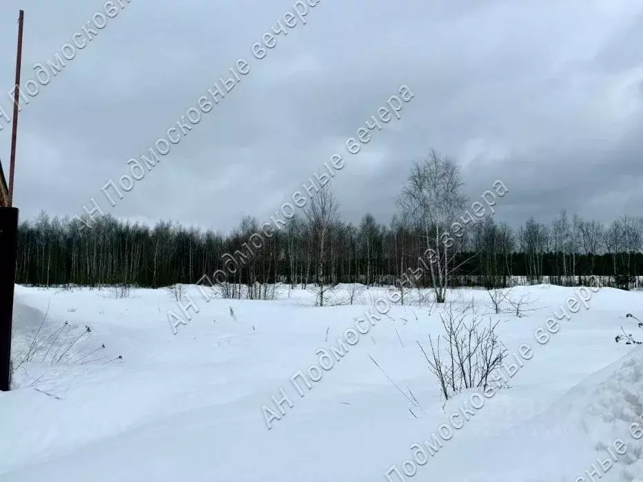 Участок в Московская область, Электросталь городской округ, д. Есино 5 ... - Фото 2