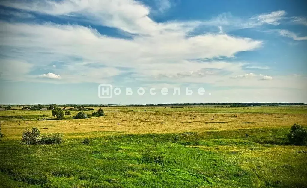 Участок в Рязанская область, Рыбновский район, Алешинское с/пос, с. ... - Фото 0