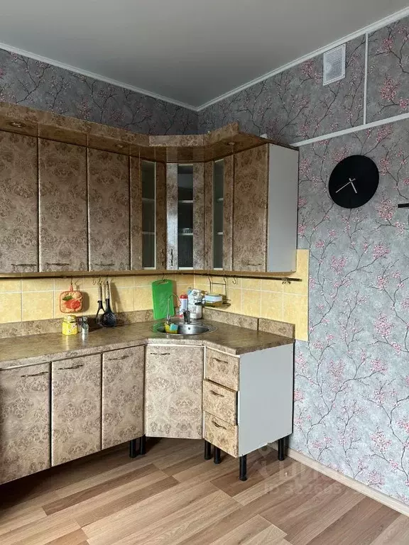 Студия Омская область, Омск Мельничная ул., 87к3 (29.2 м) - Фото 0