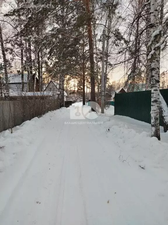 Участок в Новосибирск, СНТ Сибиряк, Лесная улица (6.62 м) - Фото 1