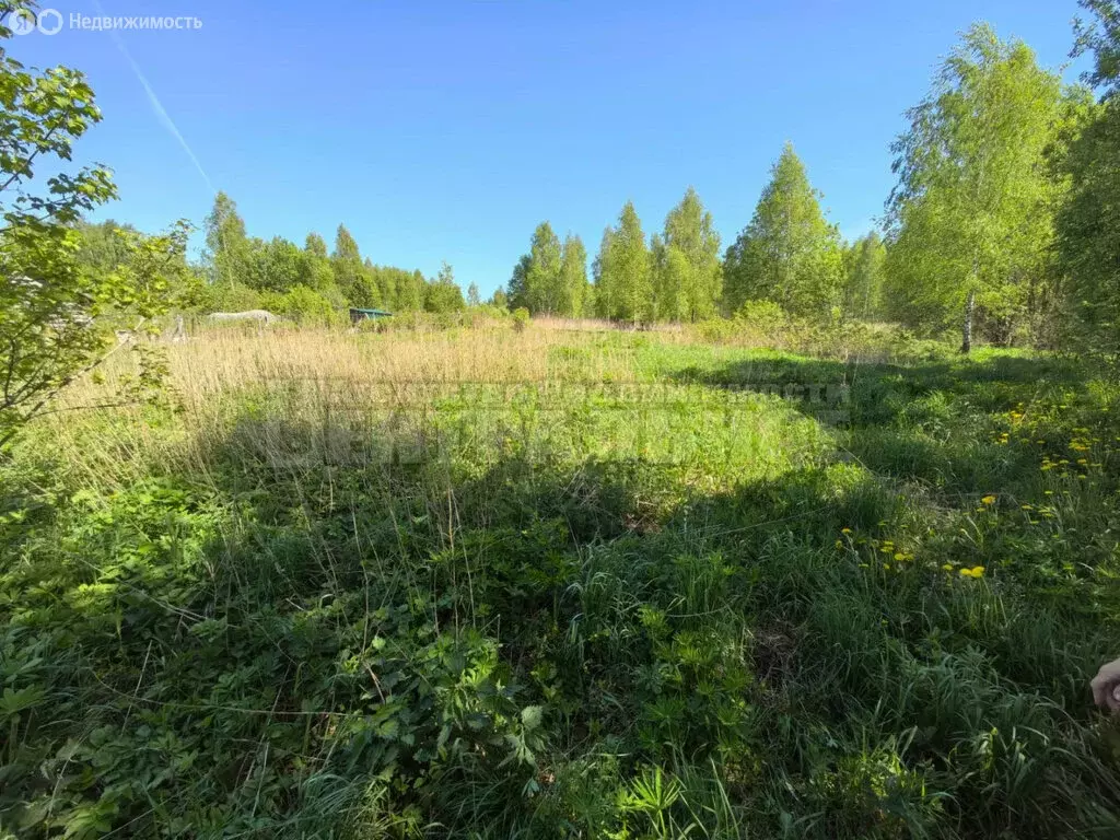Участок в Смоленский муниципальный округ, деревня Алексино, садовое ... - Фото 1