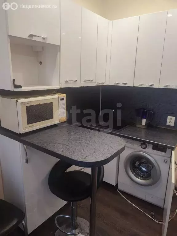 Квартира-студия: село Чигири, Лесная улица, 80/1 (22.5 м) - Фото 1