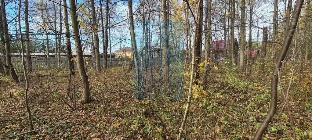 Участок, 12.5 сот., 0 - Фото 2