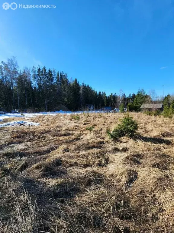 Участок в Нежновское сельское поселение, коттеджный посёлок ... - Фото 1