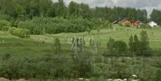 Участок в Новосибирская область, Новосибирский район, с. Раздольное ... - Фото 0