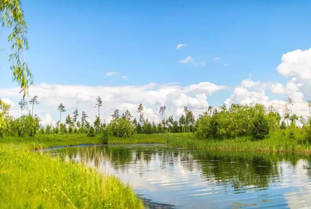 Участок в Московская область, Истра городской округ, д. Захарово, ... - Фото 0