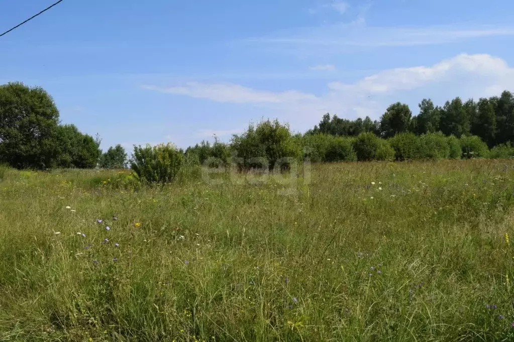 Участок в Калужская область, Перемышльский район, Хотисино с/пос, д. ... - Фото 0