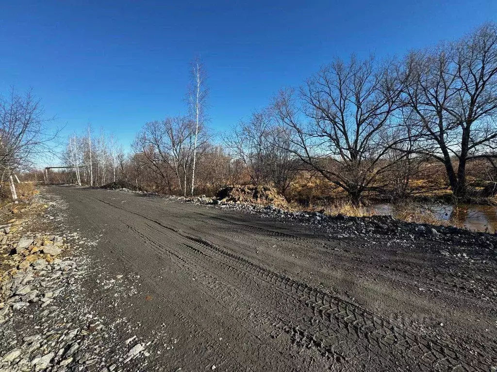 Участок в Хабаровский край, Хабаровский район, с. Мирное  (7.0 сот.) - Фото 2