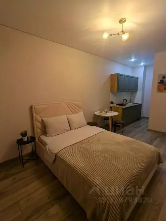1-к кв. Санкт-Петербург ул. Архивная, 3к1 (24.0 м) - Фото 2