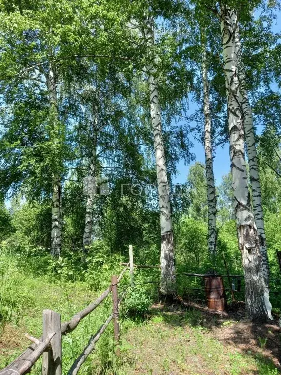 Участок в Кемеровская область, Новокузнецкий муниципальный округ, пос. ... - Фото 1