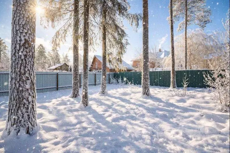 Участок в Московская область, Щелково ул. Рудакова (9.0 сот.) - Фото 1