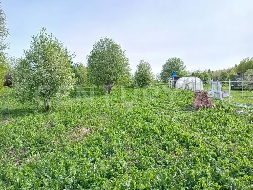 Участок в Пермский край, Башкултаевский кв-л ул. Басманная (12.0 сот.) - Фото 1