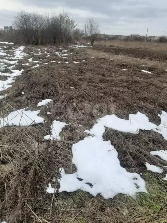 Участок в Брянская область, Навля рп  (640.0 сот.) - Фото 2