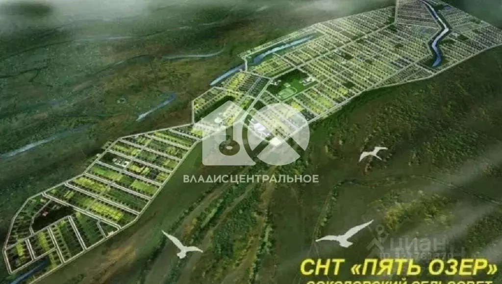 Участок в Новосибирская область, Колыванский район, Пять озер СНТ  ... - Фото 0