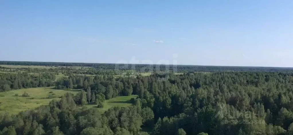 Участок в Ленинградская область, Кировский район, Мгинское городское ... - Фото 1