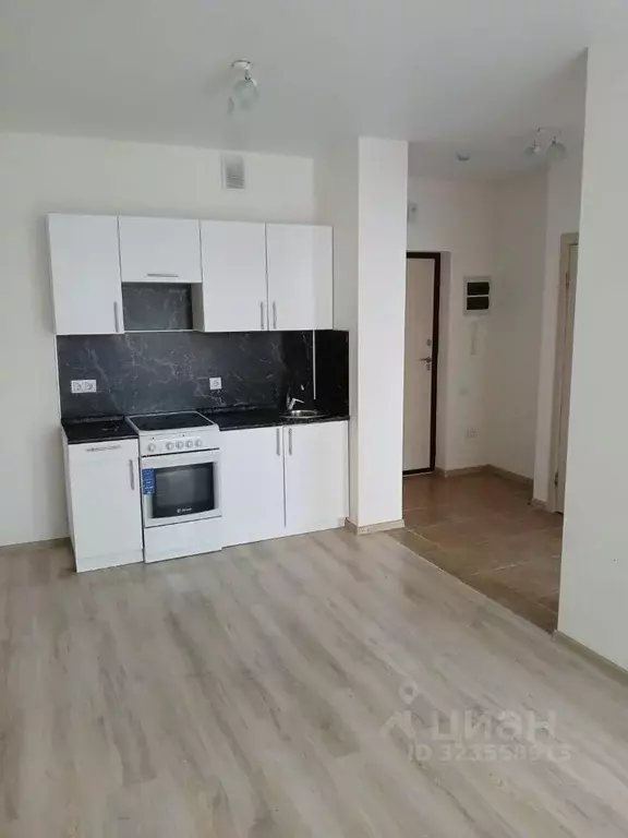 1-к кв. Нижегородская область, Нижний Новгород д. Анкудиновка, ул. ... - Фото 2