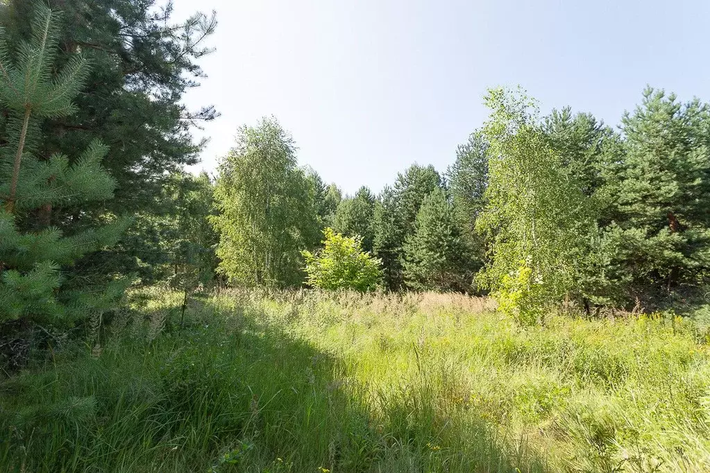 Участок в Владимирская область, Владимир сад Заречье, 133 (10.0 сот.) - Фото 1
