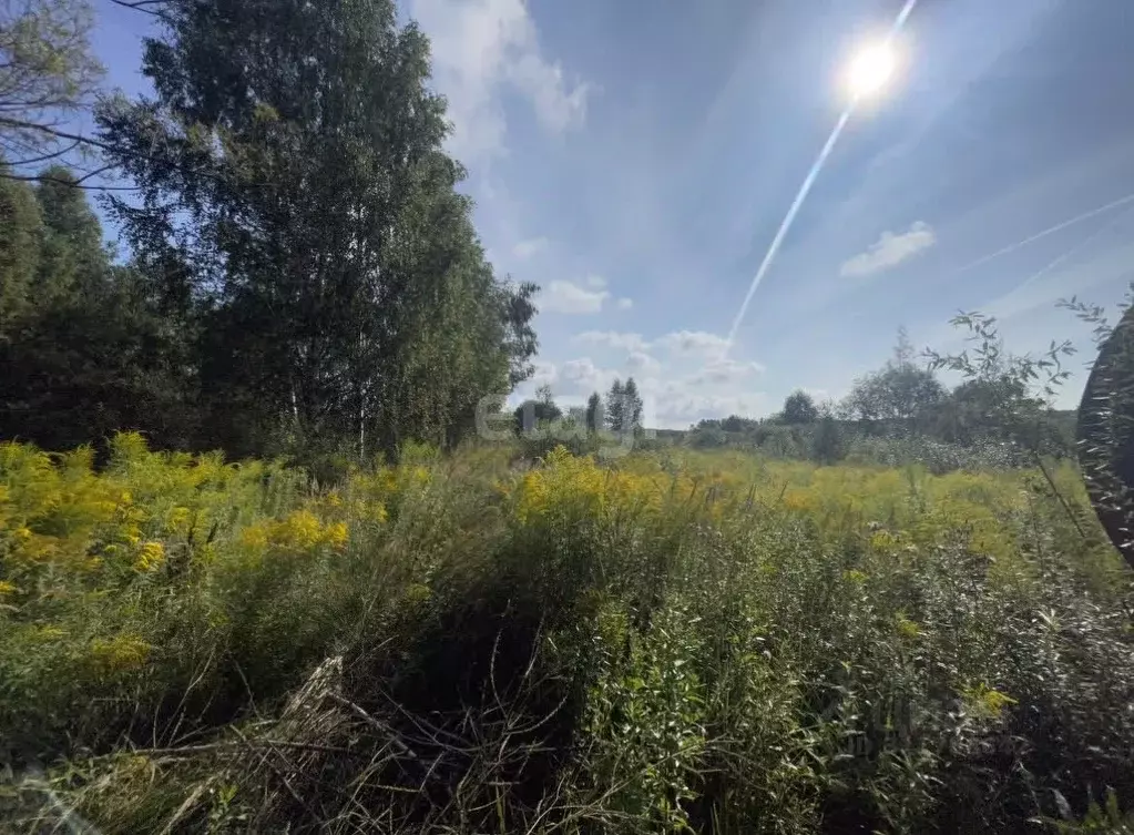 Участок в Нижегородская область, Богородский муниципальный округ, д. ... - Фото 1