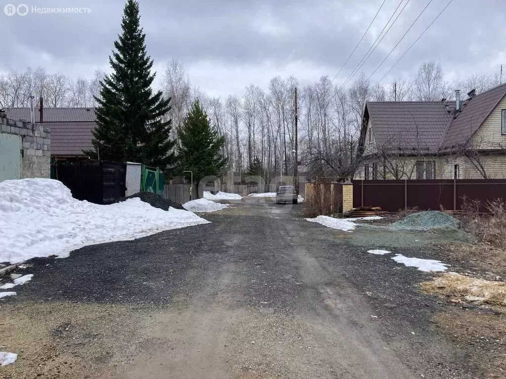 Участок в село Николо-Павловское, Сосновая улица (14.5 м) - Фото 2