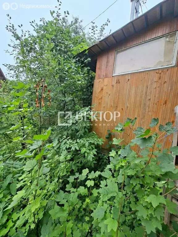 Дом в Кострома, СТ Берёзка, 136 (18.4 м) - Фото 2