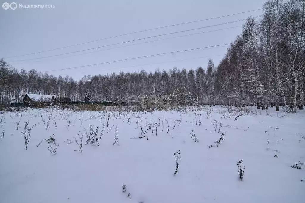 Участок в деревня Казадаевка, Садовая улица (11 м) - Фото 0