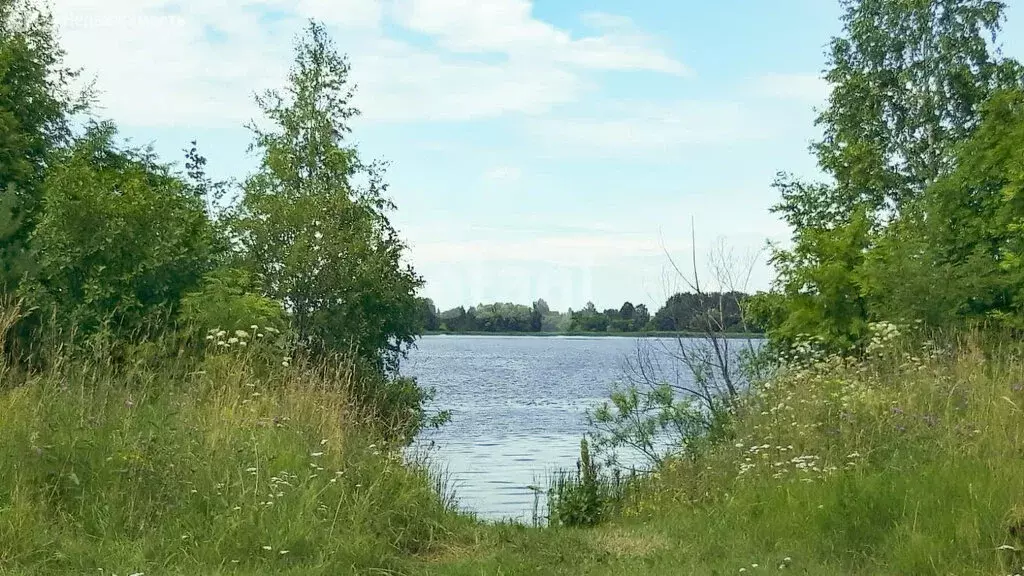 Участок в Ярославская область, сельское поселение Некрасовское, ... - Фото 0