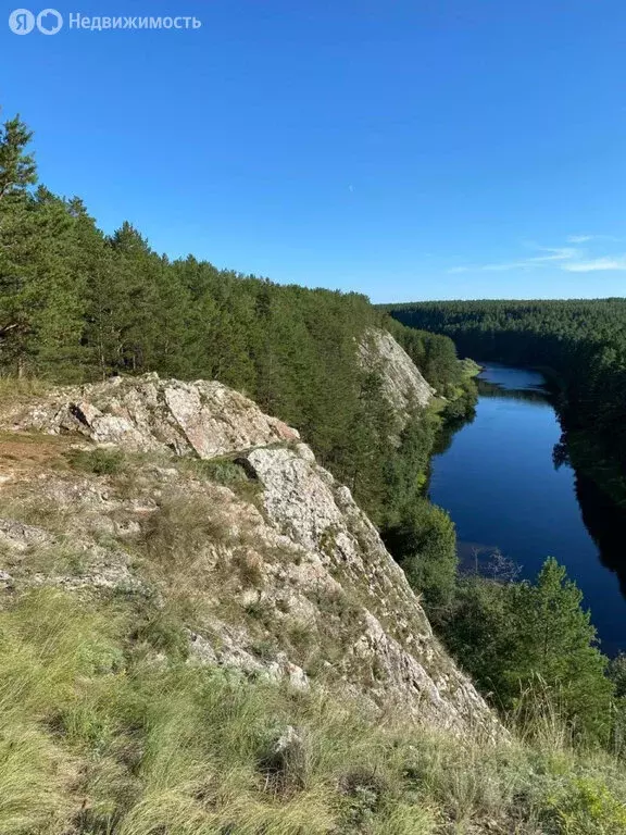 Участок в Свердловская область, Артёмовский муниципальный округ, село ... - Фото 2