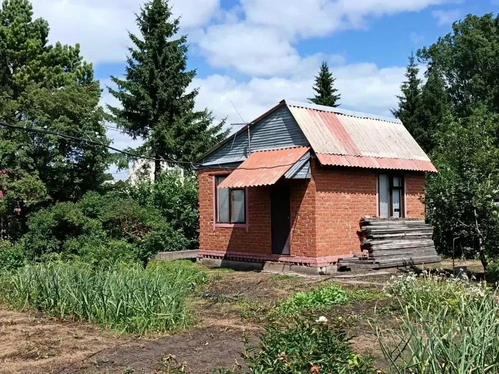 Дом в Омская область, Омск СОСН Строитель-88/1 тер., аллея 11-я (30 м) - Фото 1