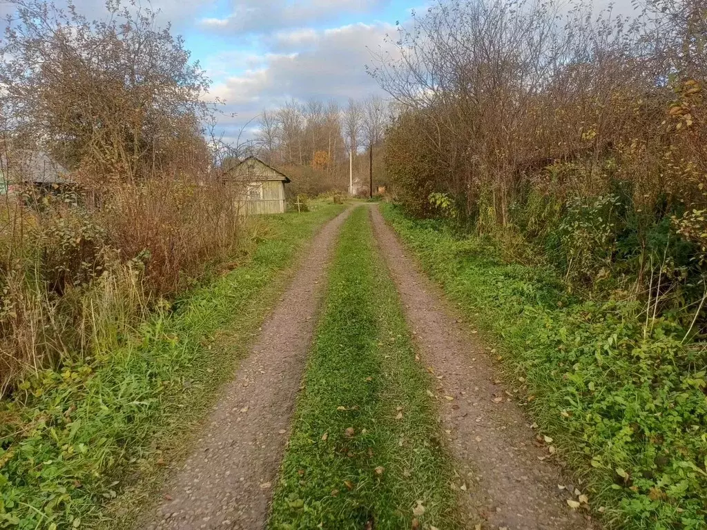 Участок в Ленинградская область, Сланцы Березка СПК,  (6.0 сот.) - Фото 1