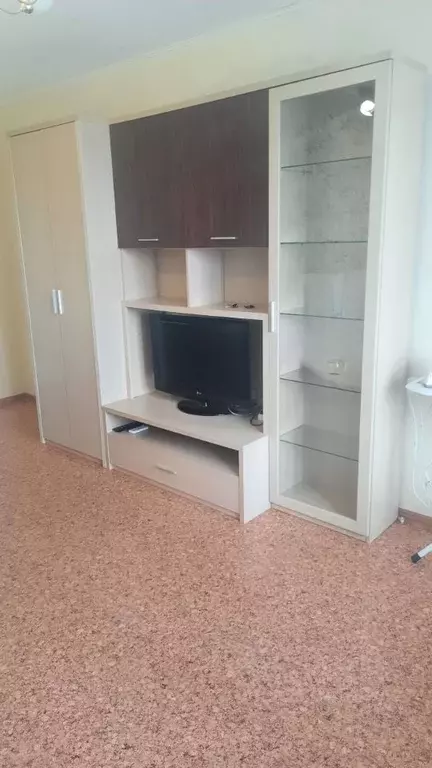 1-к кв. Воронежская область, Воронеж ул. Пирогова, 37 (56.0 м) - Фото 1