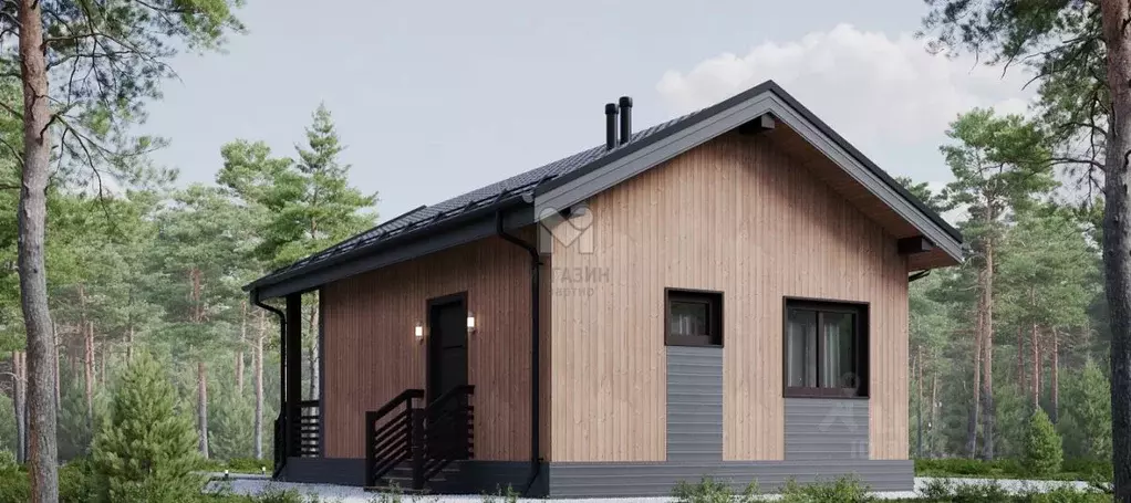 Дом в Ленинградская область, Всеволожск ул. Владимирская, 11 (45 м) - Фото 2