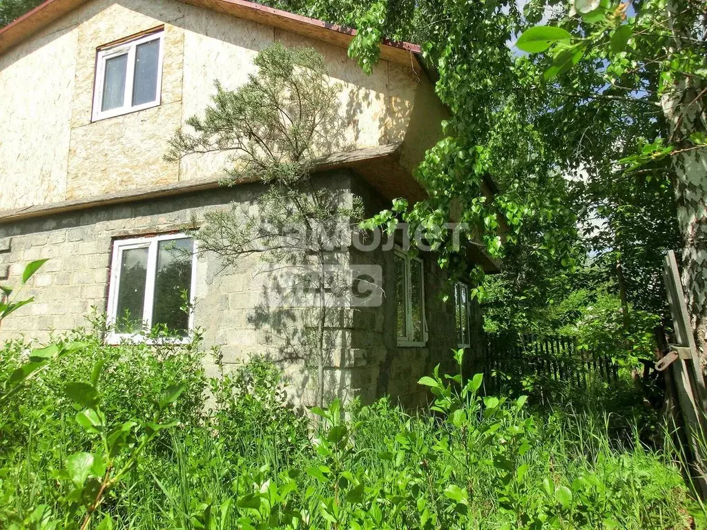 Дом в Омская область, Омск СОСН Нефтехимик тер., 751 (69 м) - Фото 2