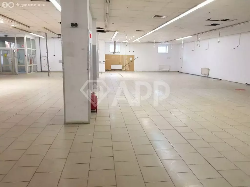 Помещение свободного назначения (482 м) - Фото 2