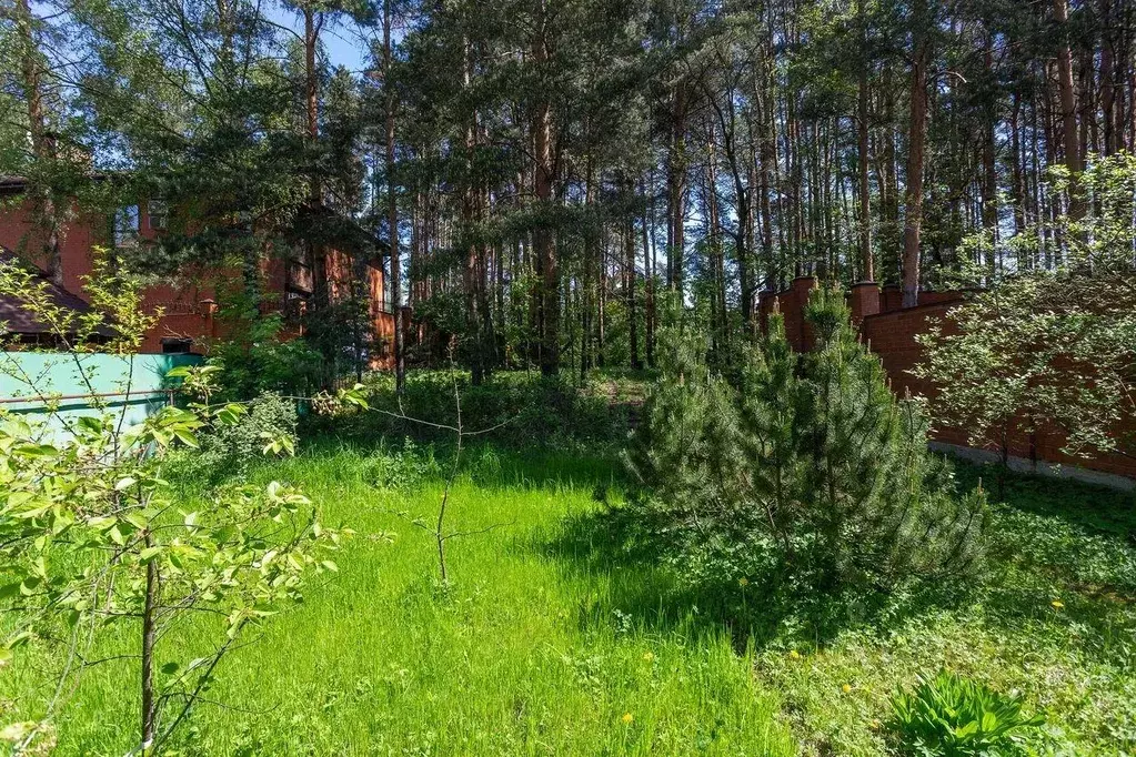 Участок, 24 сот., сельхоз (снт или днп) - Фото 0