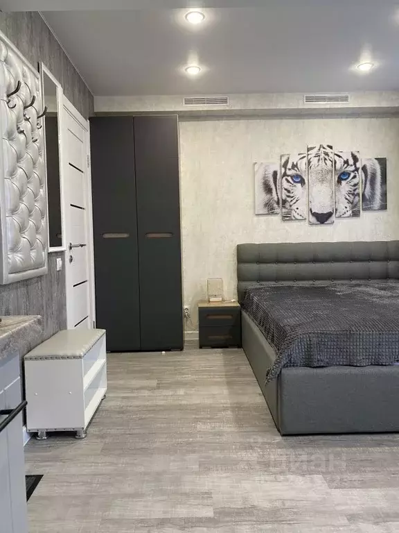 Студия Санкт-Петербург Таллинская ул., 22 (20.0 м) - Фото 1