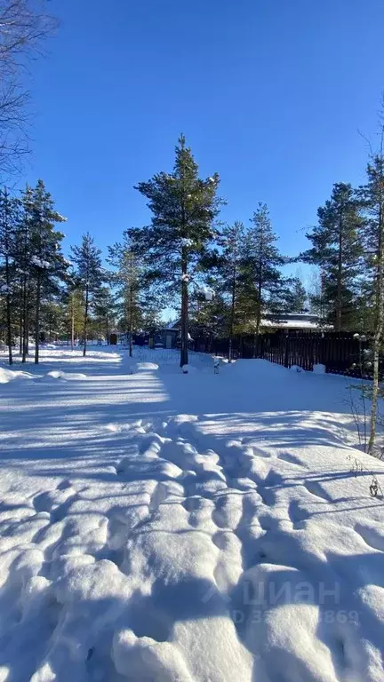 Участок в Ленинградская область, Ломоносовский район, Ропшинское ... - Фото 1