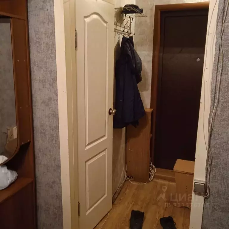 Студия Красноярский край, Красноярск Зеленая Роща мкр, ул. Воронова, ... - Фото 2