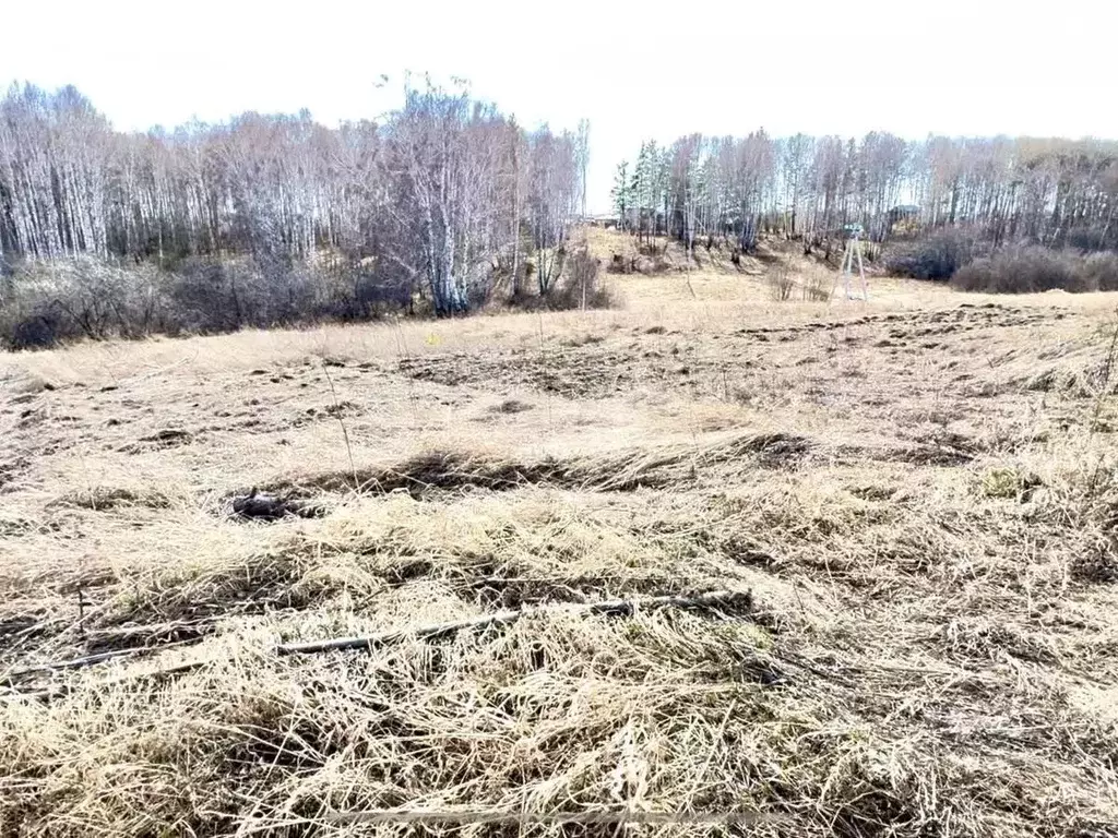 Участок в Красноярский край, Емельяновский муниципальный округ, ... - Фото 1