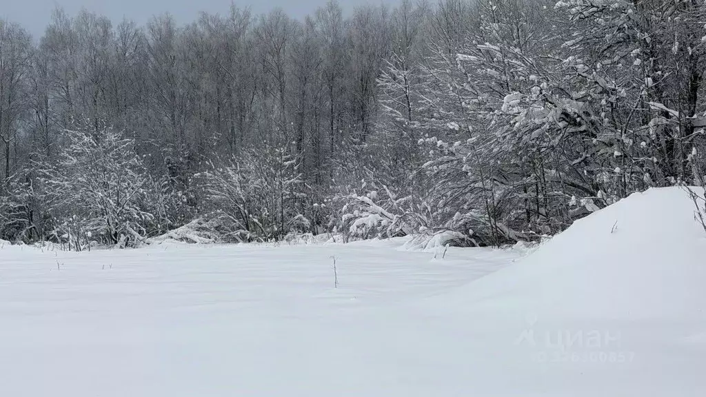Участок в Московская область, Истра муниципальный округ, д. Рыбушки  ... - Фото 0