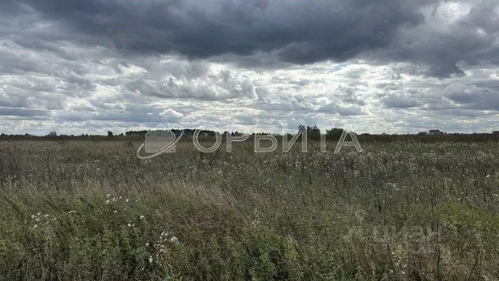 Участок в Тюменская область, Тюменский муниципальный округ, с. ... - Фото 1