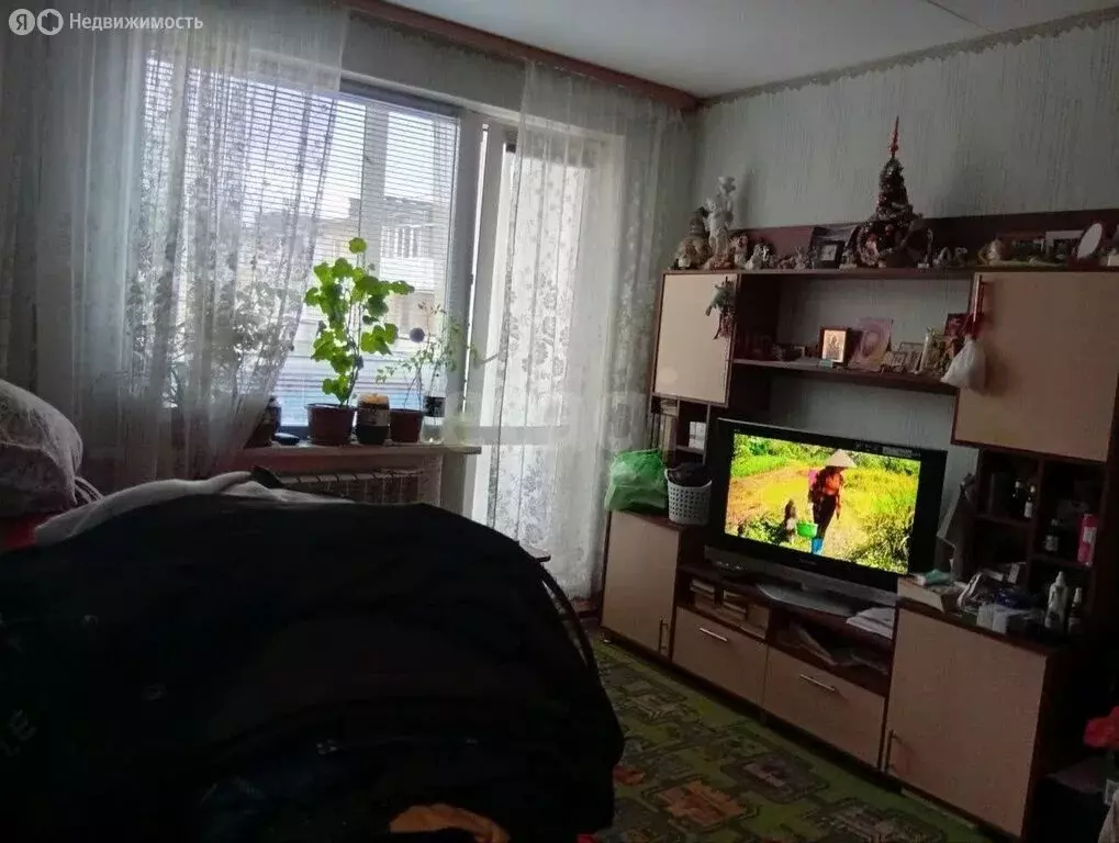 1-комнатная квартира: Пермь, Волгодонская улица, 19 (25 м) - Фото 1