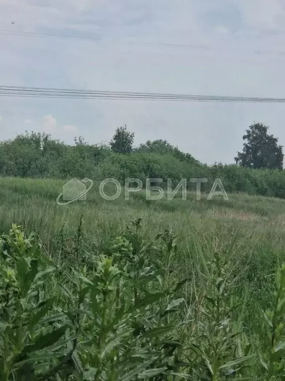 Участок в Тюменская область, Тюмень Лаванда садовое товарищество,  ... - Фото 0