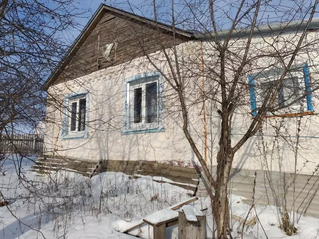 Дом в Белгородская область, Вейделевский район, с. Николаевка ул. ... - Фото 1