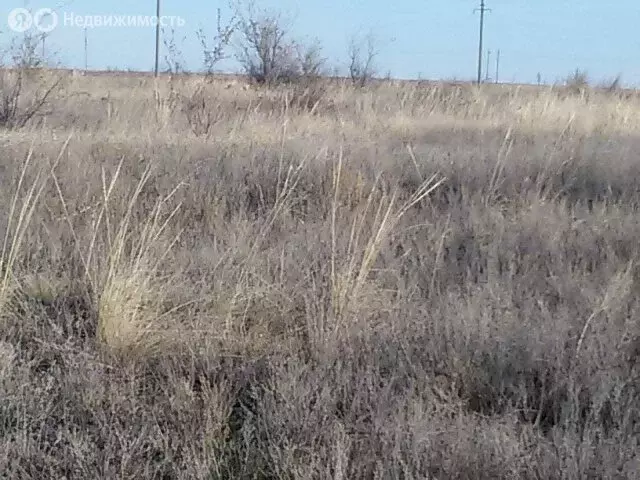 Участок в Волгоградская область, рабочий посёлок Городище, коттеджный ... - Фото 0