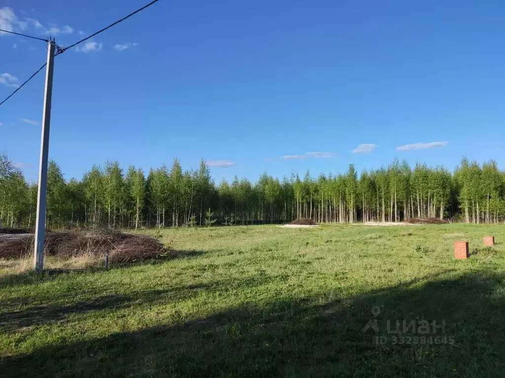 Участок в Марий Эл, Йошкар-Ола городской округ, д. Шоя-Кузнецово  ... - Фото 2