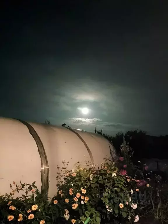 Дом в Алтайский край, Барнаул городской округ, пос. Бельмесево, ... - Фото 1