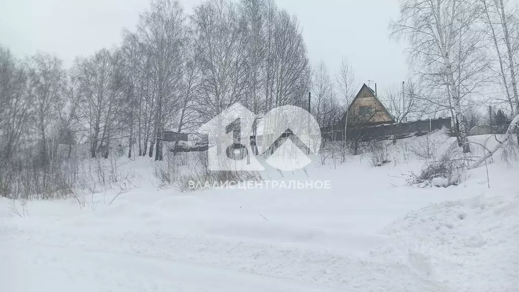 Участок в Новосибирская область, Новосибирский район, Каменский ... - Фото 0