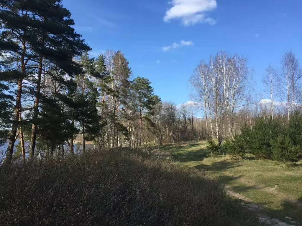 Участок в Ленинградская область, Лужский район, Скребловское с/пос  ... - Фото 2
