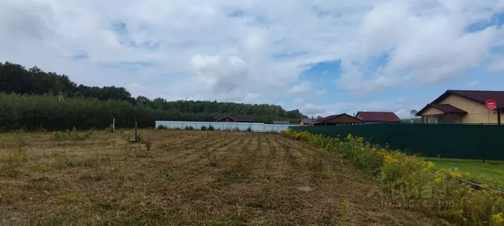 Участок в Нижегородская область, Богородский муниципальный округ, д. ... - Фото 0